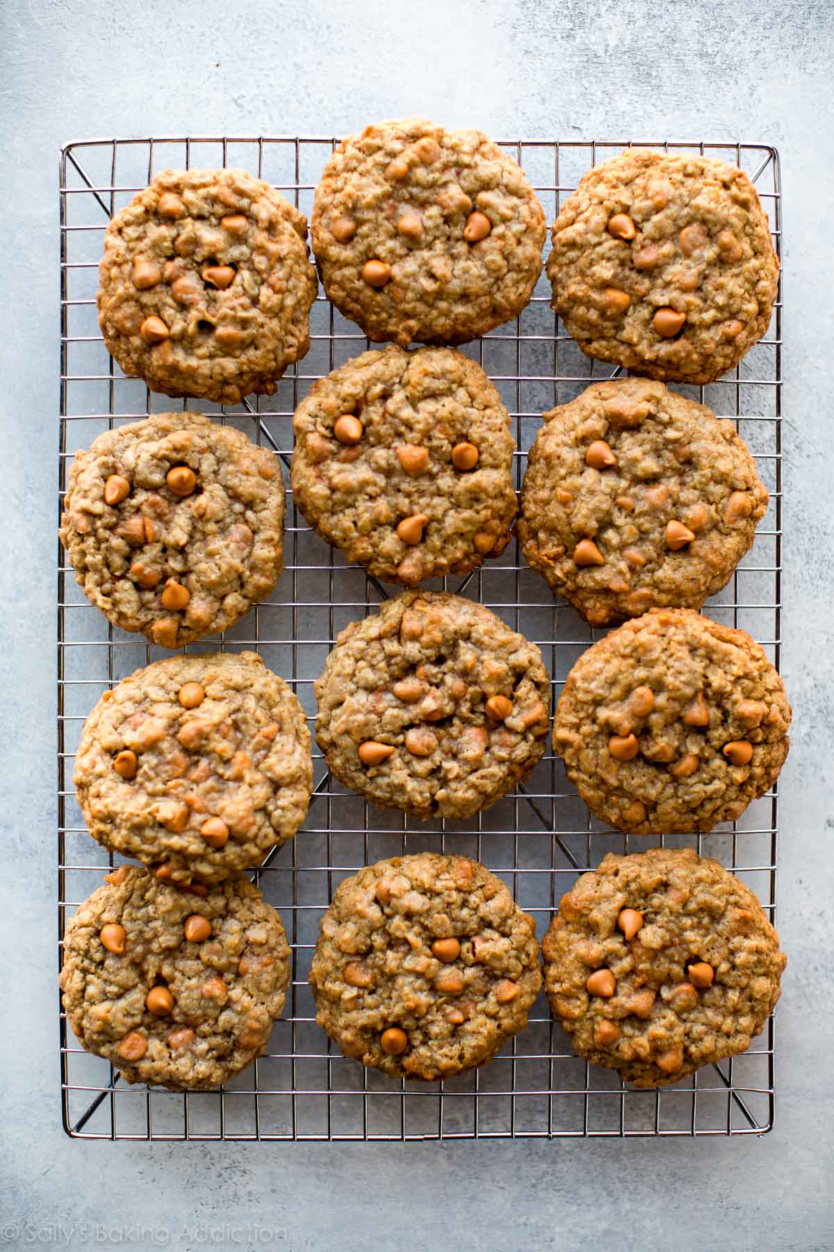 Perfect Pairing: Oatmeal and Butterscotch Chips in Every Chewy Bite